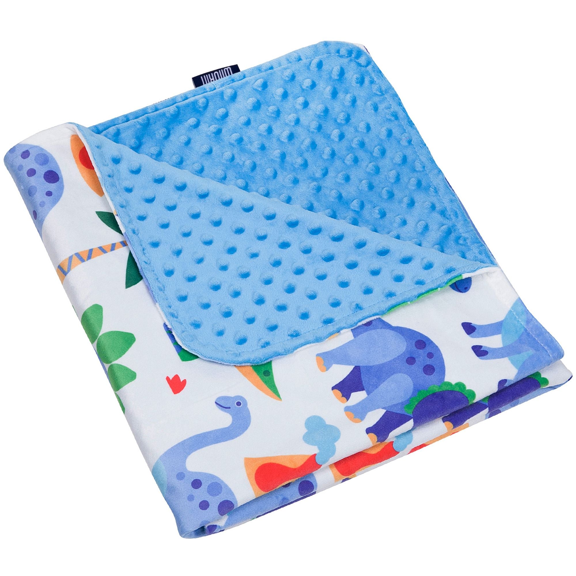 Dinosaur best sale minky blanket