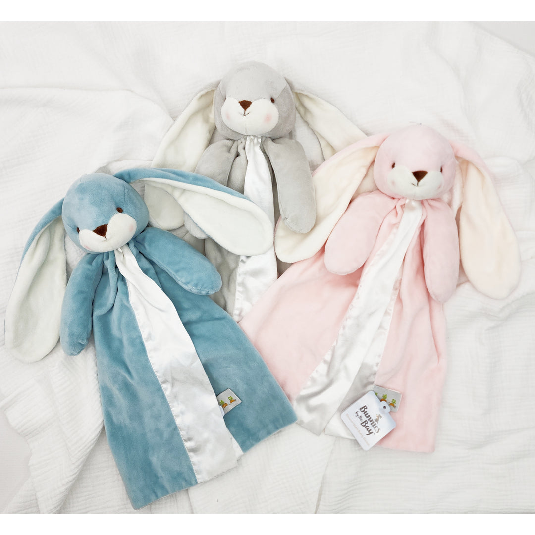 How Your Little One Can Care for their New Bunny